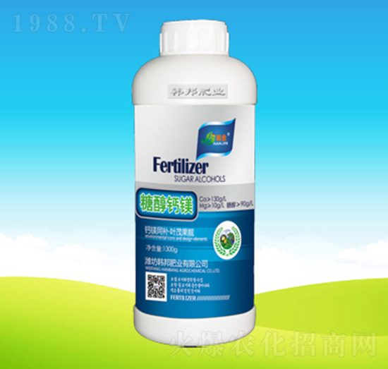 �Ǵ��}�V-�n��ʘI(y��)