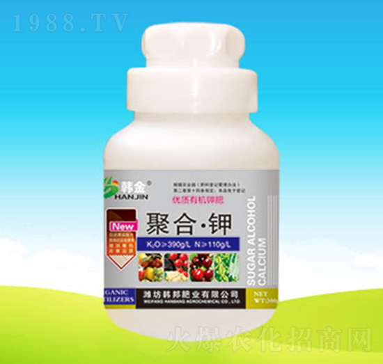 ��(y��u)�|�ЙC⛷�-�ۺϡ��-�n��ʘI(y��)