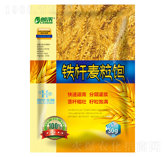 �F�U�����-���A����