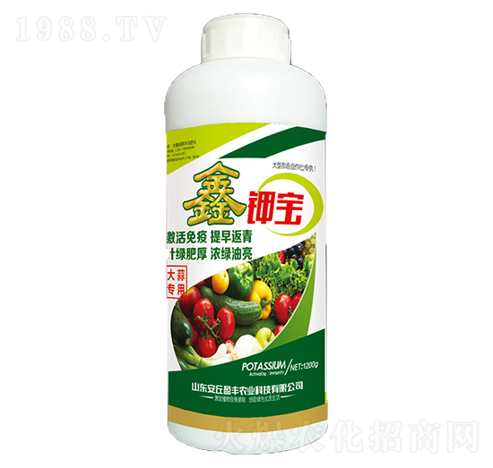 ��⛌�-���A����