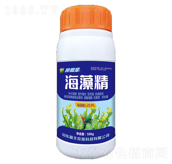 500g���徫-���A����