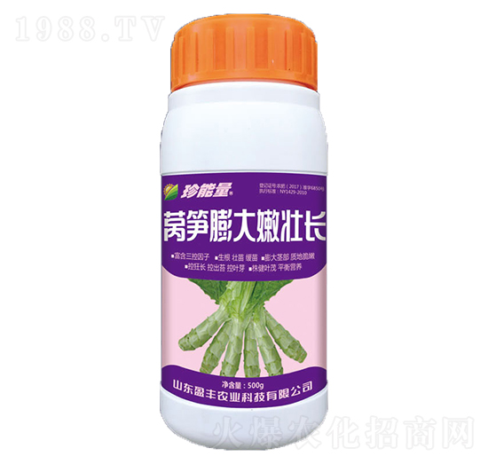�n�S����ۉ��L(zh��ng)-���A����