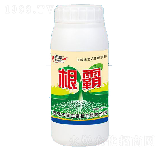 ����-���