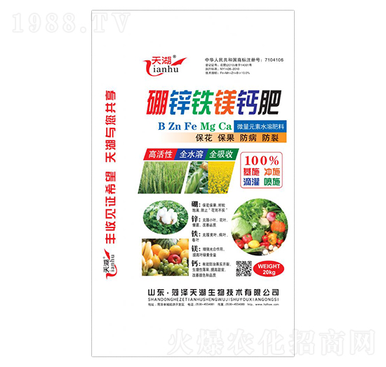 ���\�F�V�}��-���