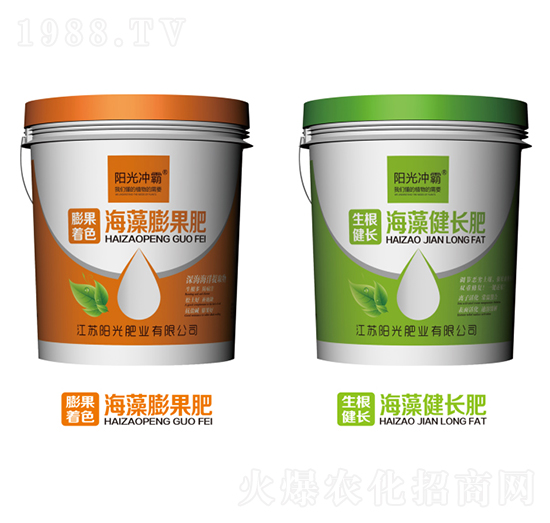 ���������+���彡�L(zh��ng)��-�(y��ng)��ʘI(y��)