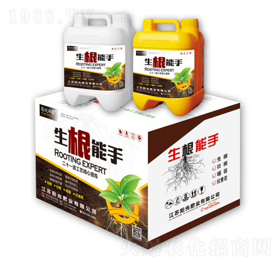 ��������-�(y��ng)��_��-�(y��ng)��ʘI(y��)