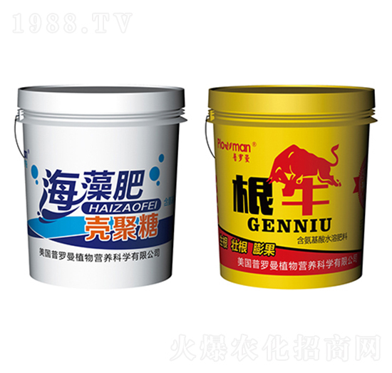 ����ʚ�����+��ţ-���_��-ꖹ�ʘI(y��)