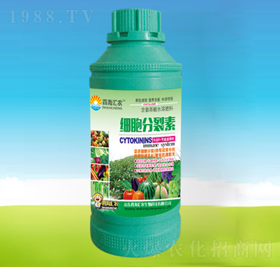 ��(x��)��������-�ĺ��R�r(n��ng)