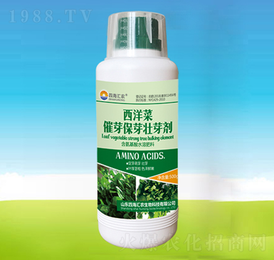 ����˴�ѿ��ѿ��ѿ��-�ĺ��R�r