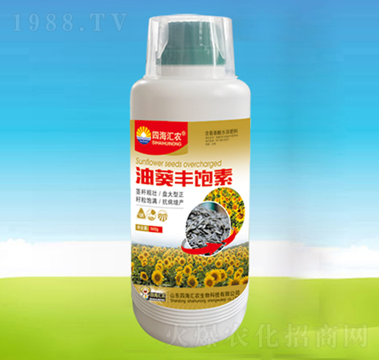 �Ϳ��S���-�ĺ��R�r(n��ng)