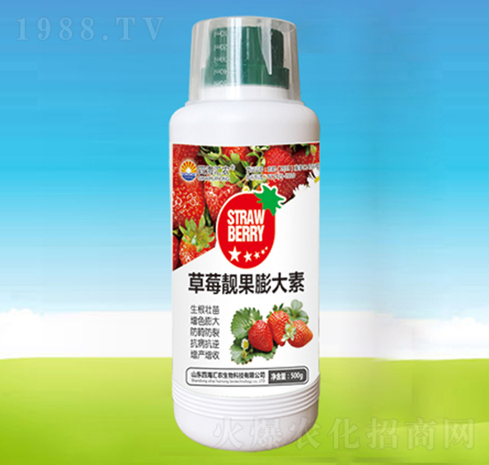 ��ݮ�n�������-�ĺ��R�r(n��ng)