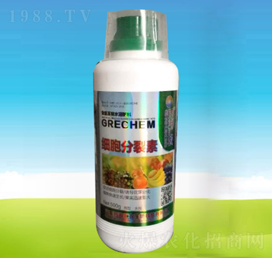 ��(x��)��������-�ĺ��R�r(n��ng)