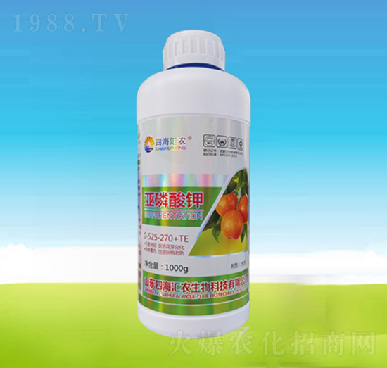 �������-�ĺ��R�r(n��ng)