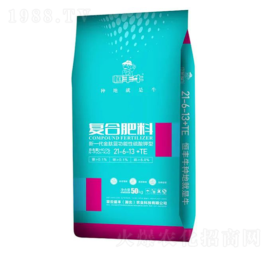 �ͺϷ���21-6-13+TE-���Sţ-����ʢ�S