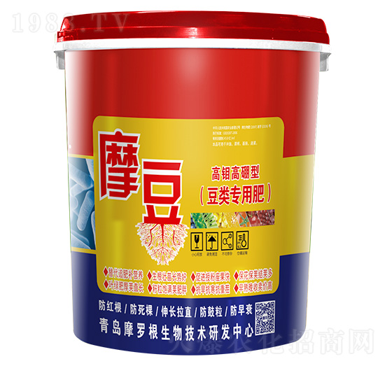 ���f�����Ͷ���÷�-Ħ��-���A����