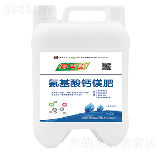 �������}�V��-�¸�����