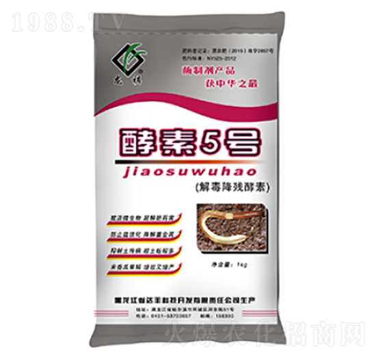 �ⶾ��������-����5̖-�_�S