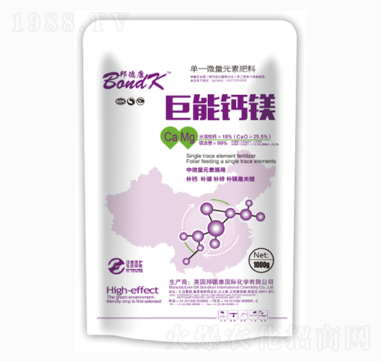 �����}�V-����ʩ