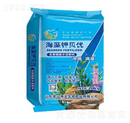 �����ؐ��(y��u)-��������