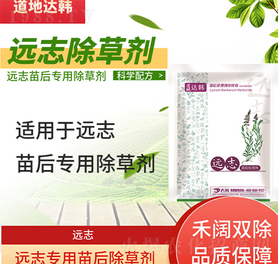 �h־�ݳ��݄�-�h־���-�h־����-���n