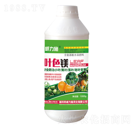 �~ɫ�V-����ʩ