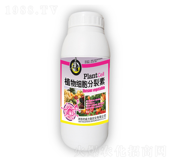 ֲ�：(x��)��������-����ʩ