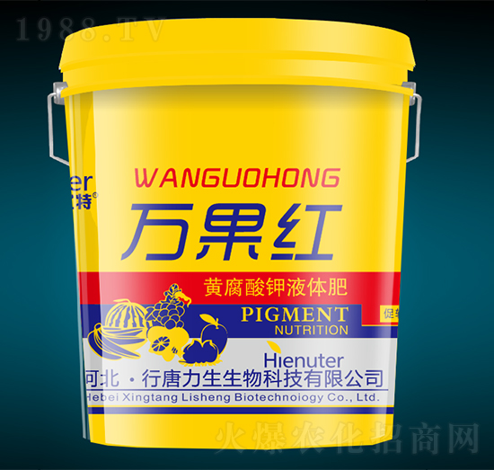 �S�����Һ�w��-�f(w��n)���t-��������
