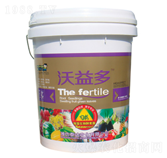 ����������ؾ�-�����-̩�_�r(n��ng)��