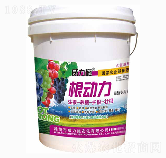 ����(d��ng)��-����ʩ