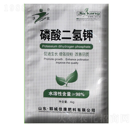 ��������-�ѿ�