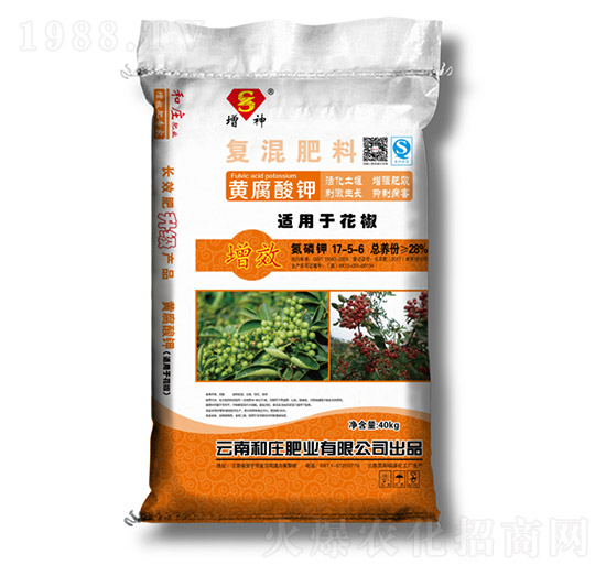 �����S����⛏�(f��)�����17-5-6-���f�ʘI(y��)