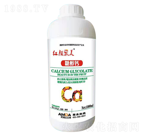 �Ǵ��}-�t���-��ķ�_