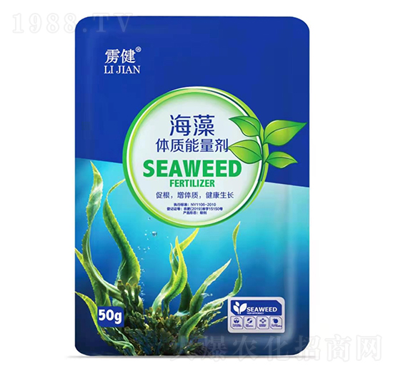 �������|(zh��)������-�Z��-��տ���B(t��i)