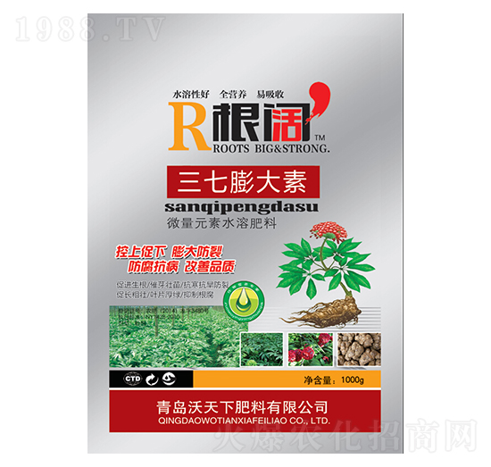 ���������-���-������