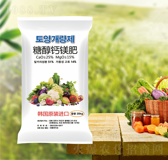 �Ǵ��}�V��-���T�r�I(y��)