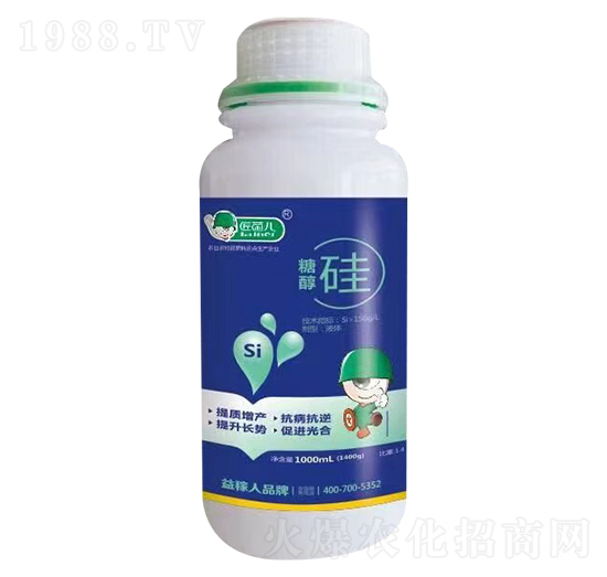 �Ǵ���-������-�����