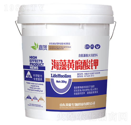 �����S�����-ؐ������