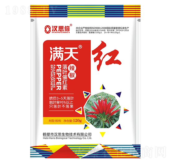 �������~�߼t��-�M��t-�h˼����