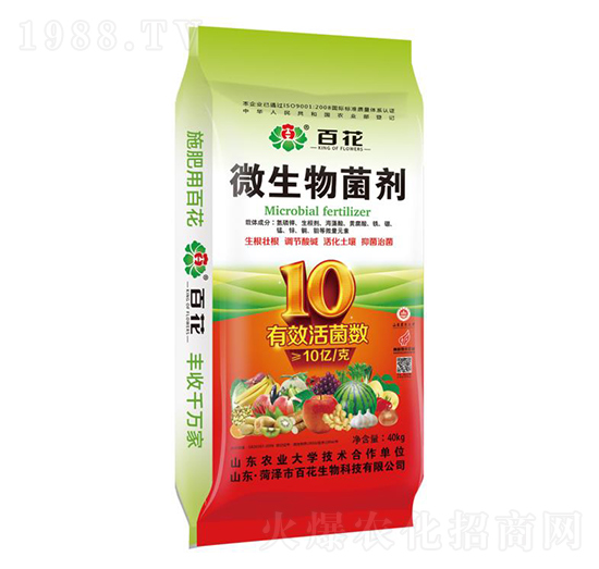 10�|΢�������-�ٻ�����