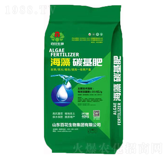 10�|���塤̼����-�ٻ�����