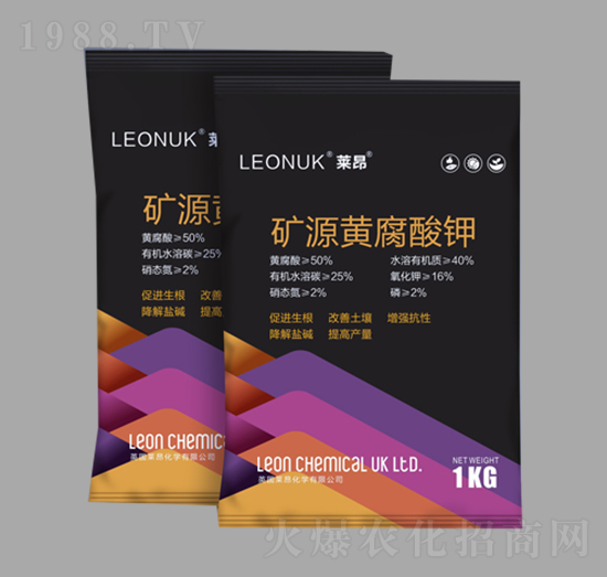 �VԴ�S�����-�R�����W(xu��)