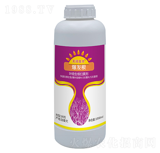 1000ml���l(f��)��-��ӽ�ˮ-��巉�(m��ng)