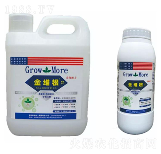 ��S�� �S������