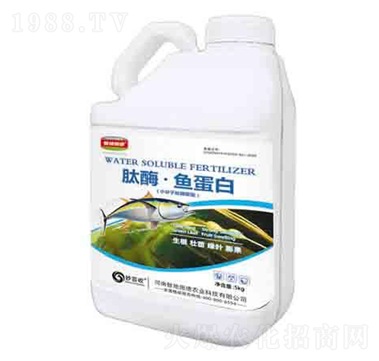 ��ø���~(y��)���� ��(r��n)��