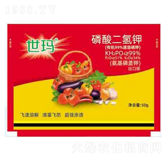 �������� ���� ����