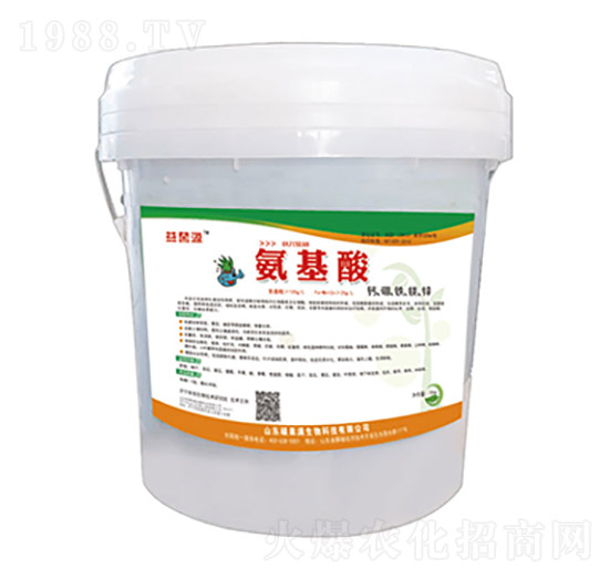 ���������-�T���M����