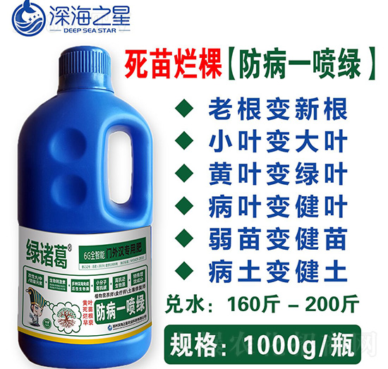 ���砀�ã�����һ���G��-�G�T��-�֮��