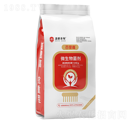 ΢������� ����� ʥ���S��