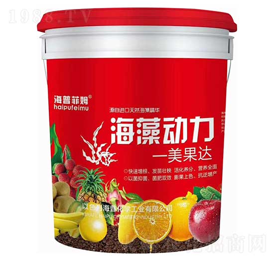 �����(d��ng)�� �����_(d��) ���ջ��W(xu��)