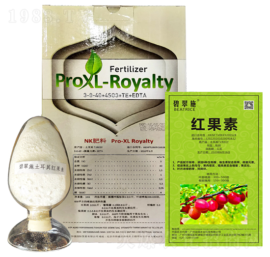 �̴�ʩ���t���� ���(gu��)�r(n��ng)�I(y��)